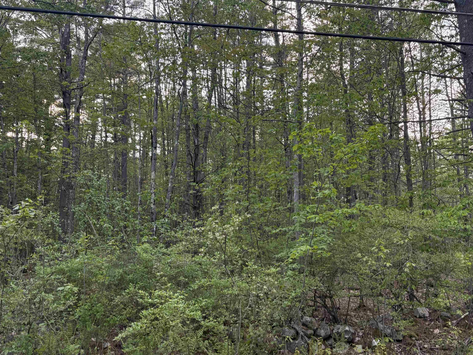Lot 80 Currier Road Candia NH 03034