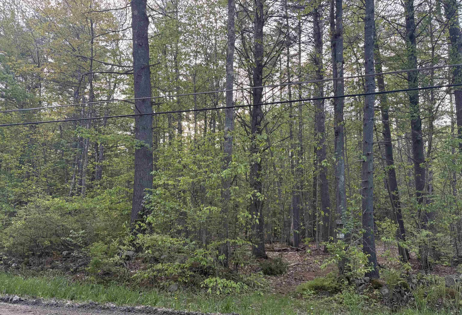 Lot 80 Currier Road Candia NH 03034