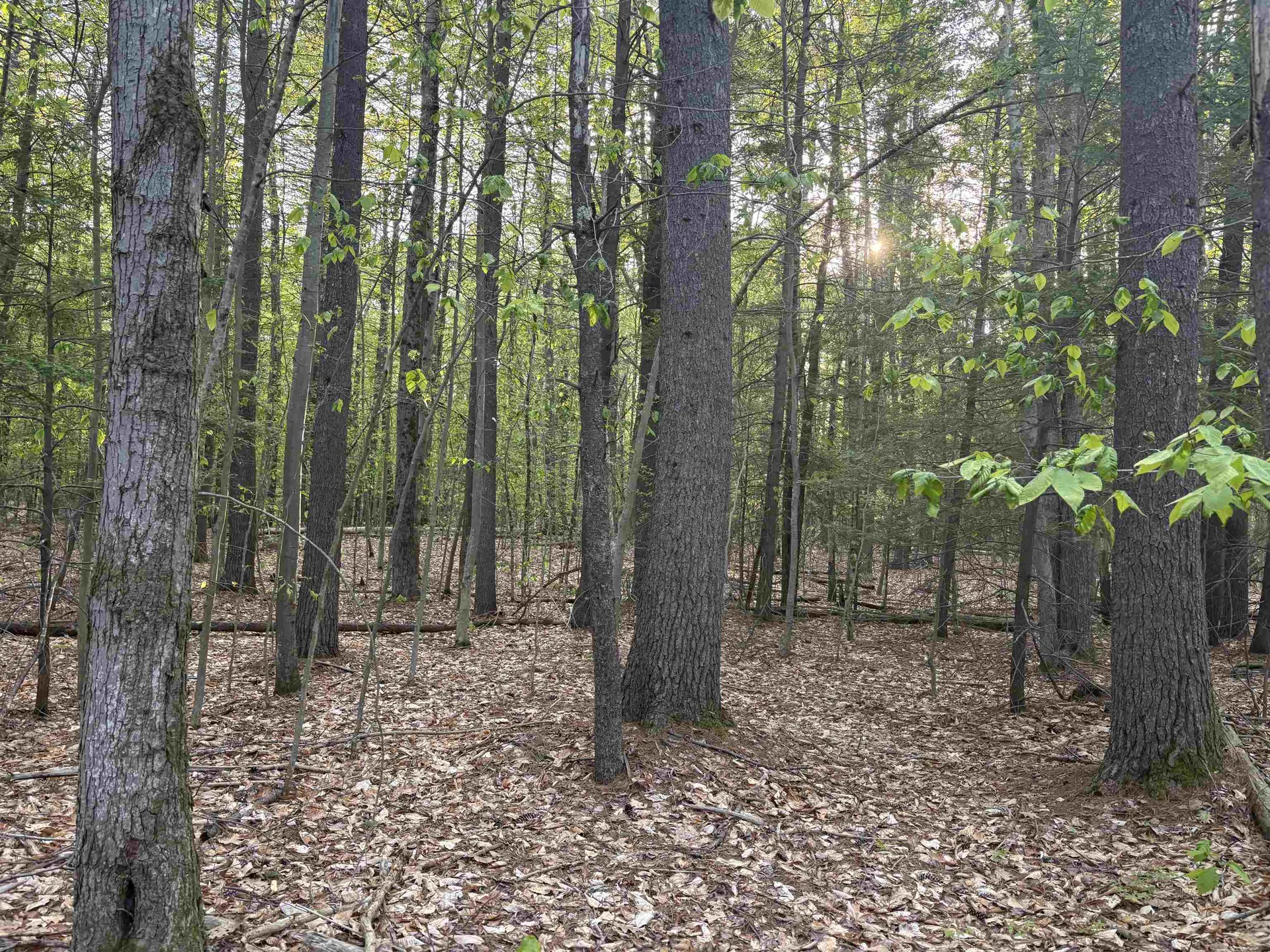 Lot 80 Currier Road Candia NH 03034