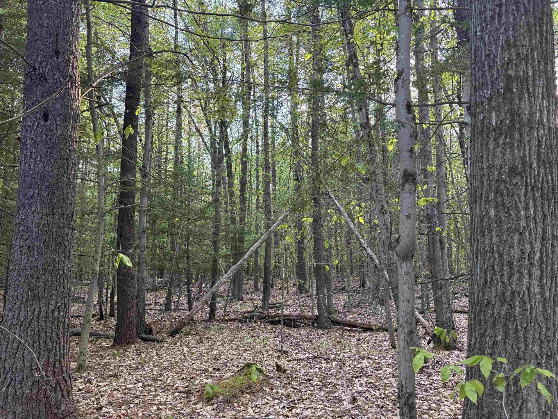 Lot 80 Currier Road Candia NH 03034