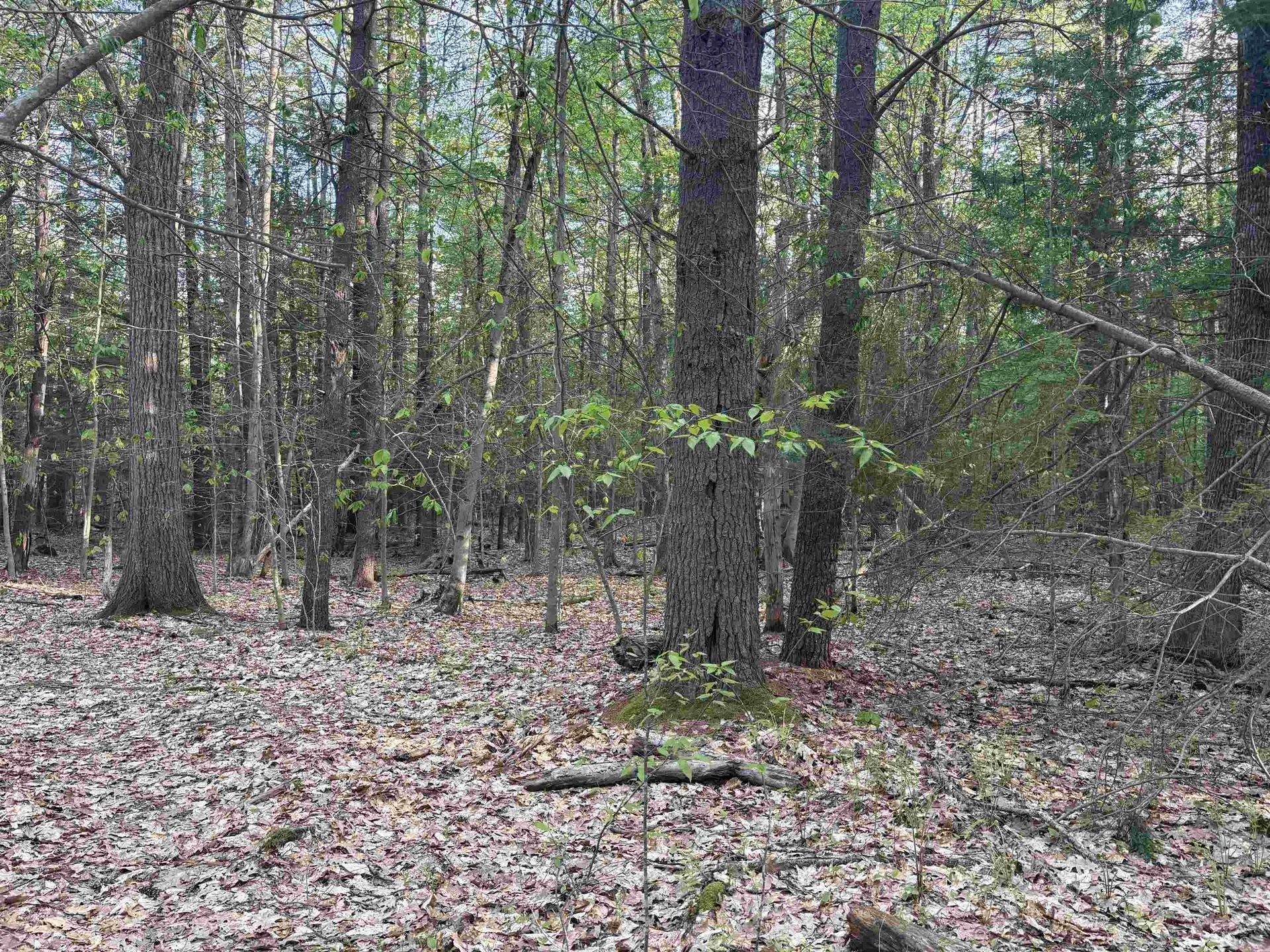 Lot 80 Currier Road Candia NH 03034