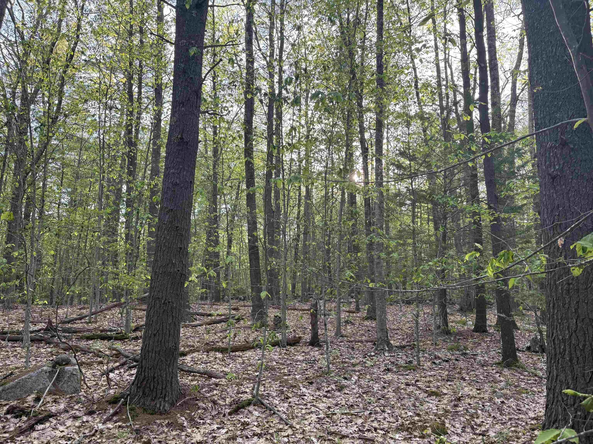 Lot 80 Currier Road Candia NH 03034