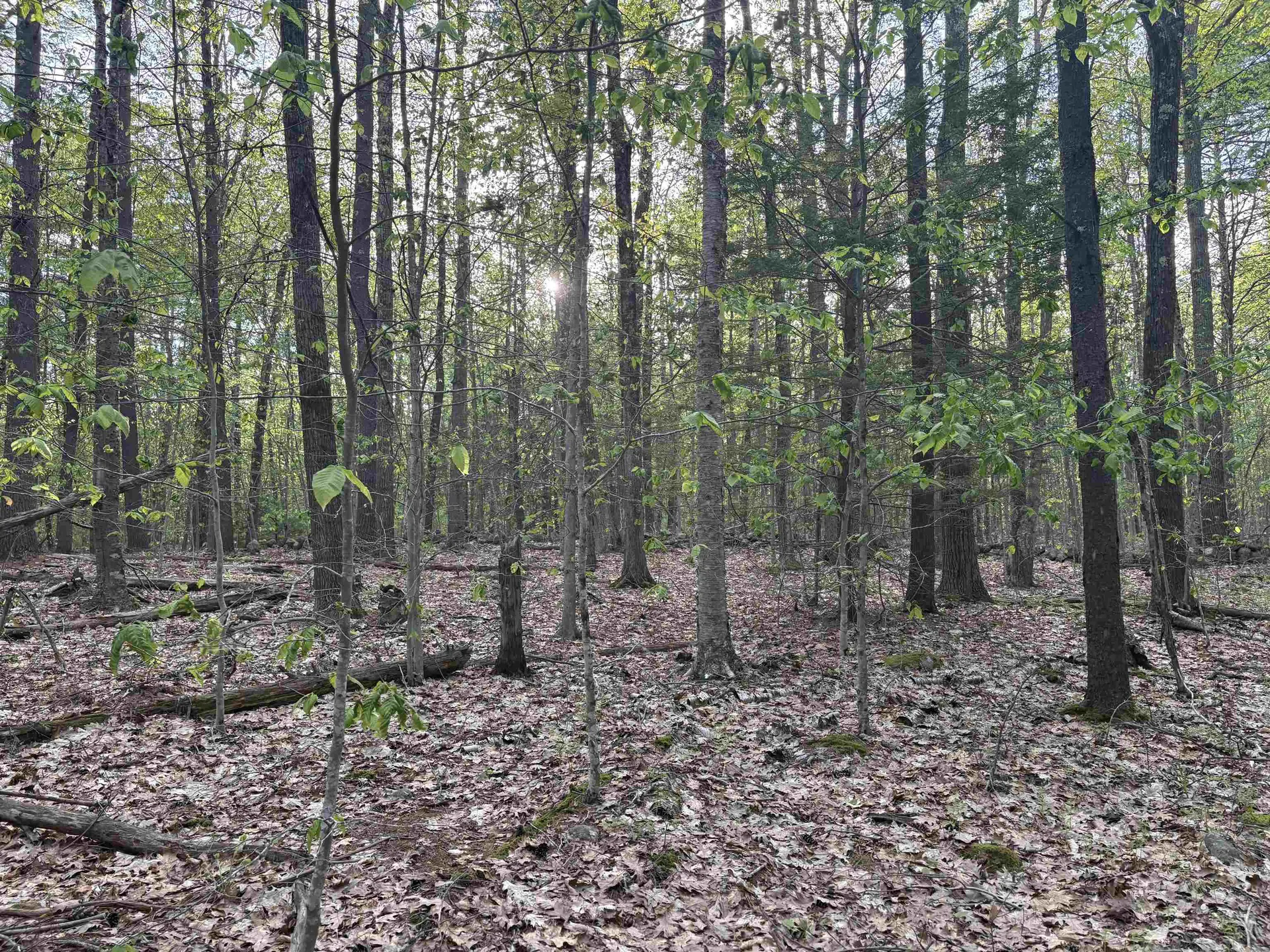 Lot 80 Currier Road Candia NH 03034
