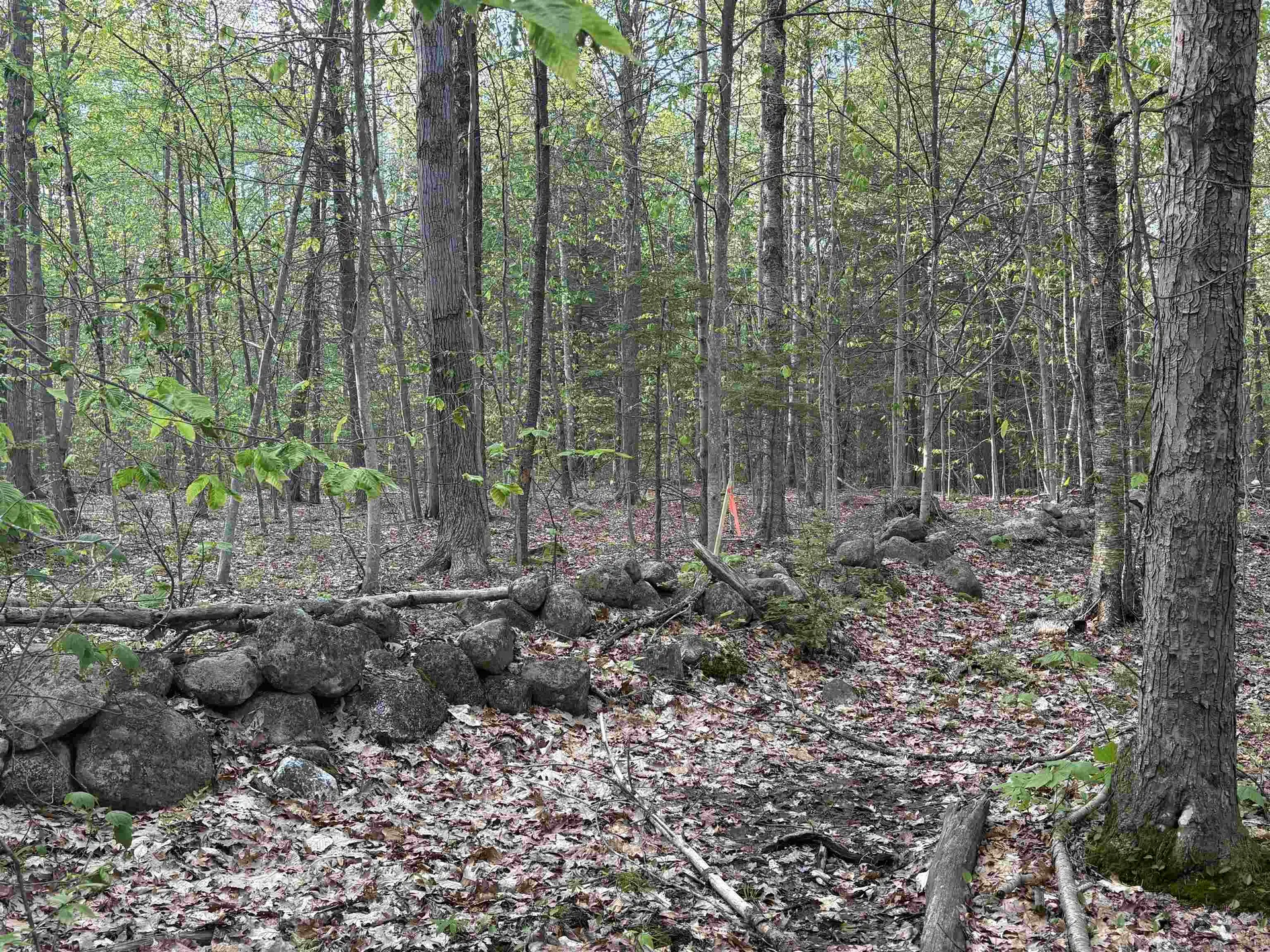 Lot 80 Currier Road Candia NH 03034