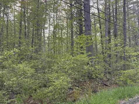 Lot 80 Currier Road Candia NH 03034
