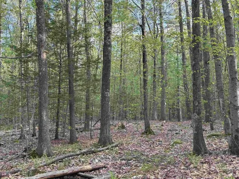 Lot 80 Currier Road Candia NH 03034