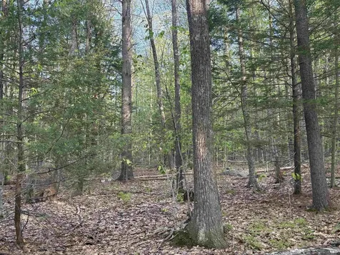 Lot 80 Currier Road Candia NH 03034