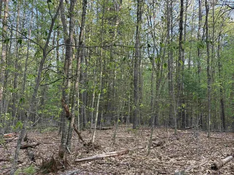 Lot 80 Currier Road Candia NH 03034