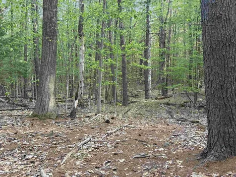 Lot 80 Currier Road Candia NH 03034