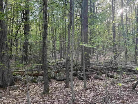 Lot 80 Currier Road Candia NH 03034