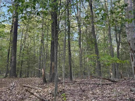 Lot 80 Currier Road Candia NH 03034