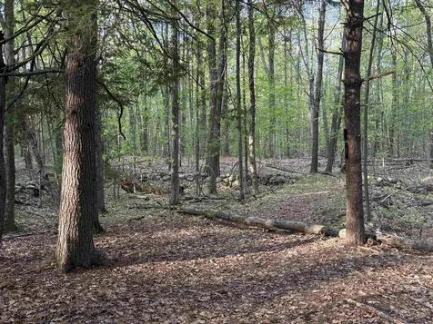 Lot 80 Currier Road Candia NH 03034