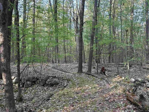 Lot 80 Currier Road Candia NH 03034