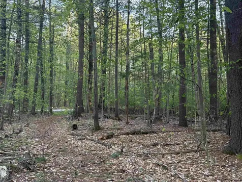 Lot 80 Currier Road Candia NH 03034