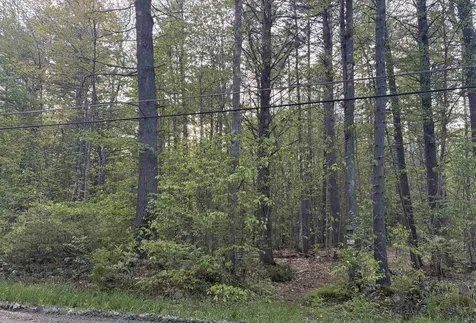 Lot 80 Currier Road Candia NH 03034