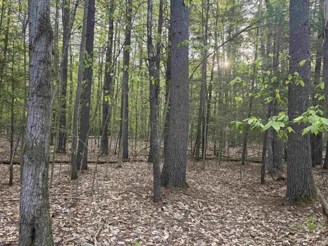 Lot 80 Currier Road Candia NH 03034