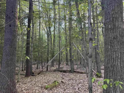 Lot 80 Currier Road Candia NH 03034