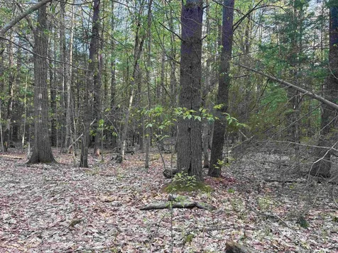 Lot 80 Currier Road Candia NH 03034