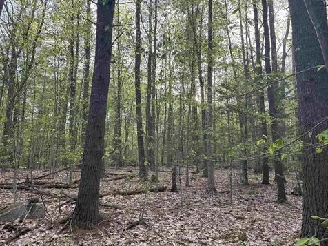 Lot 80 Currier Road Candia NH 03034