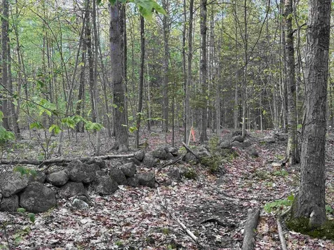 Lot 80 Currier Road Candia NH 03034