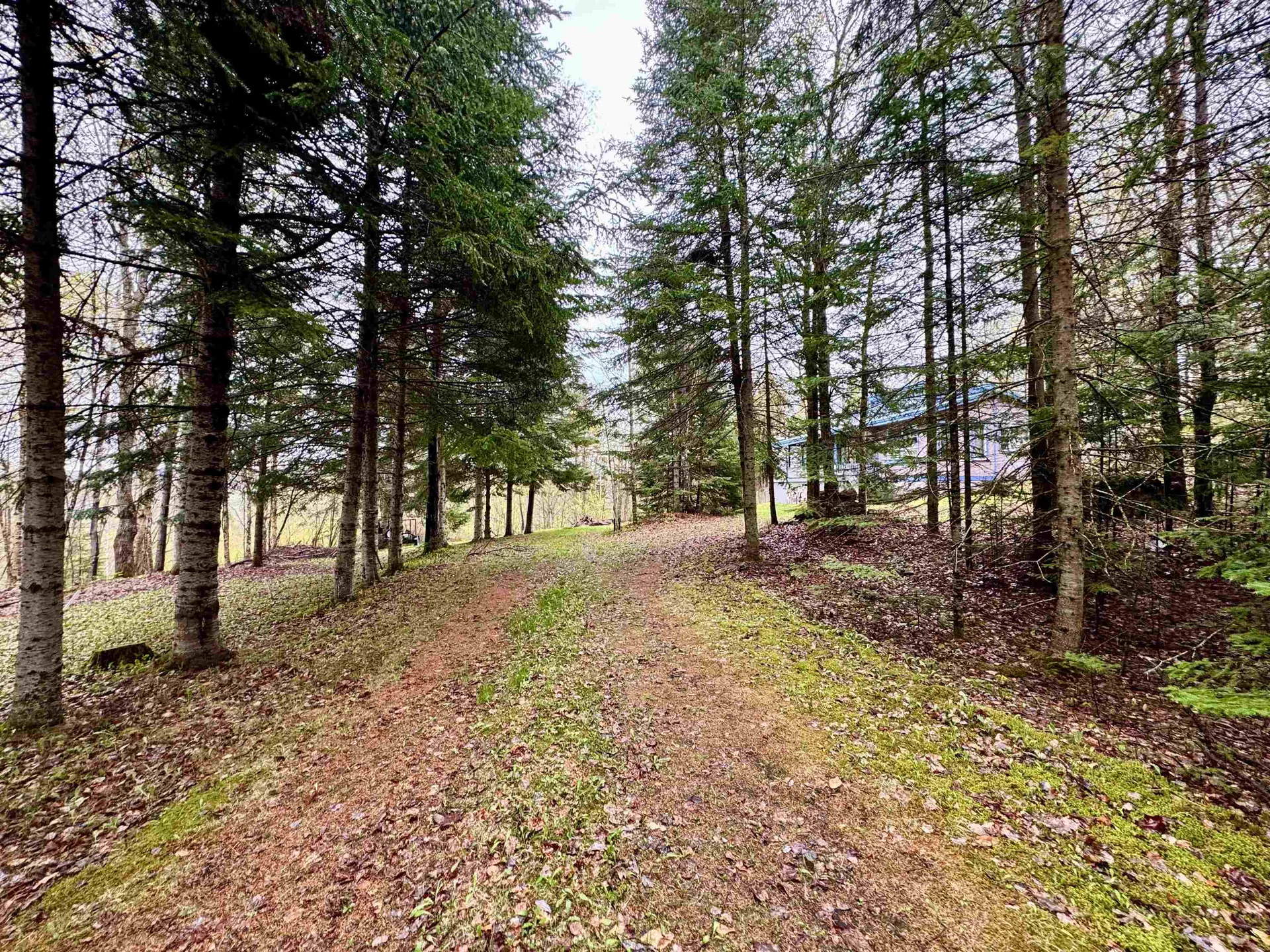 144 Spencer Road Stewartstown NH 03576