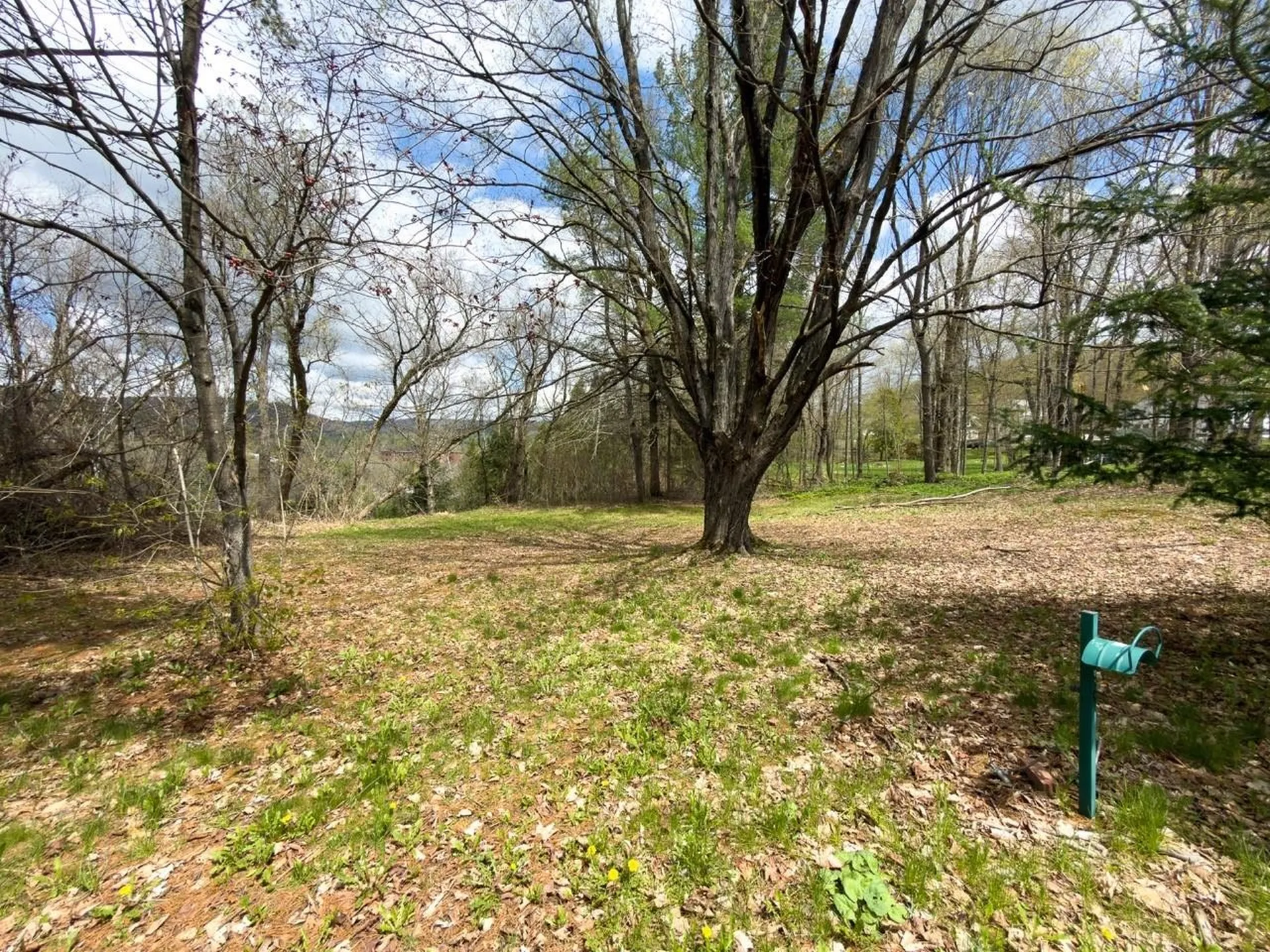 131 Grove Street Littleton NH 03561