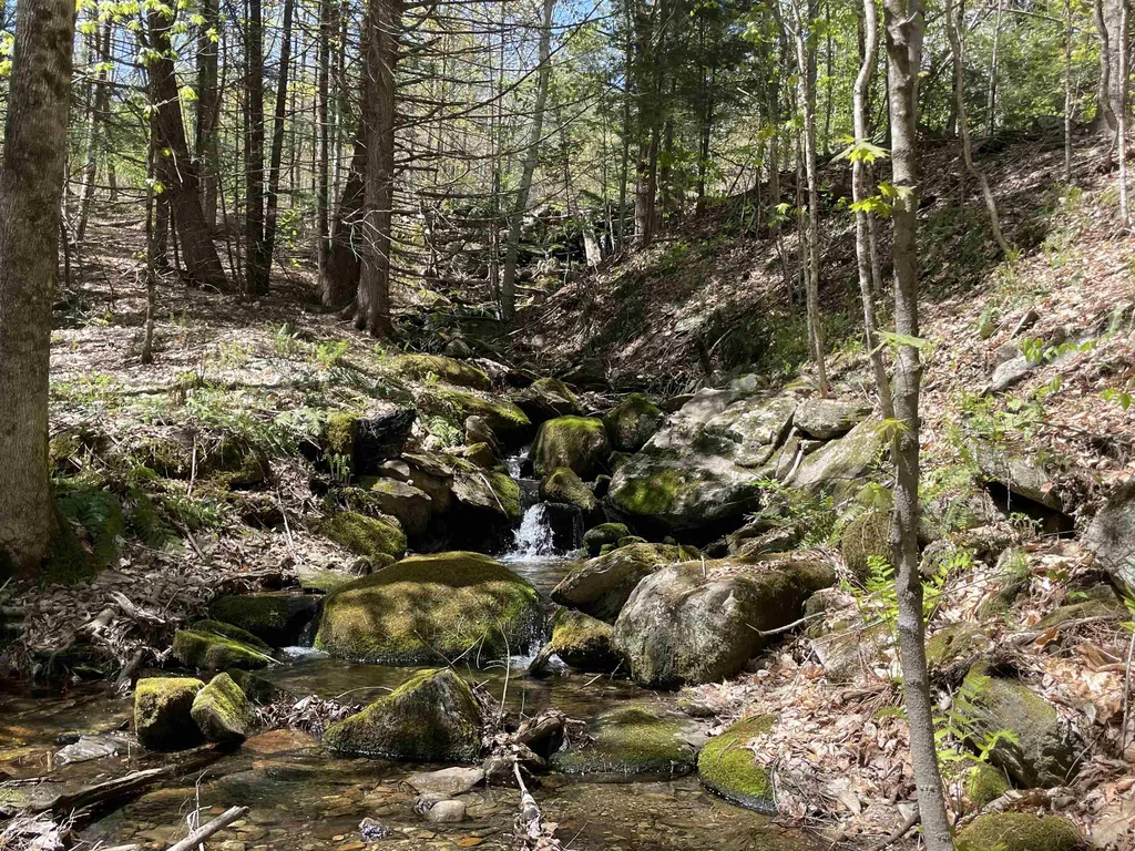 91 Vt Route 35 Athens VT 05143