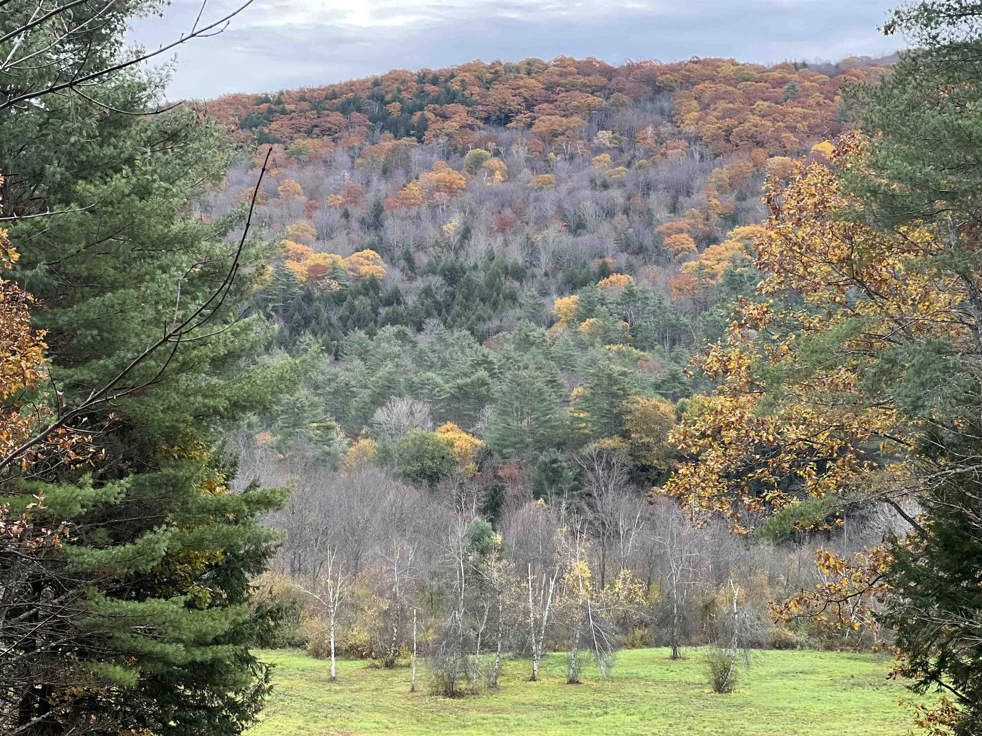 91 Vt Route 35 Athens VT 05143