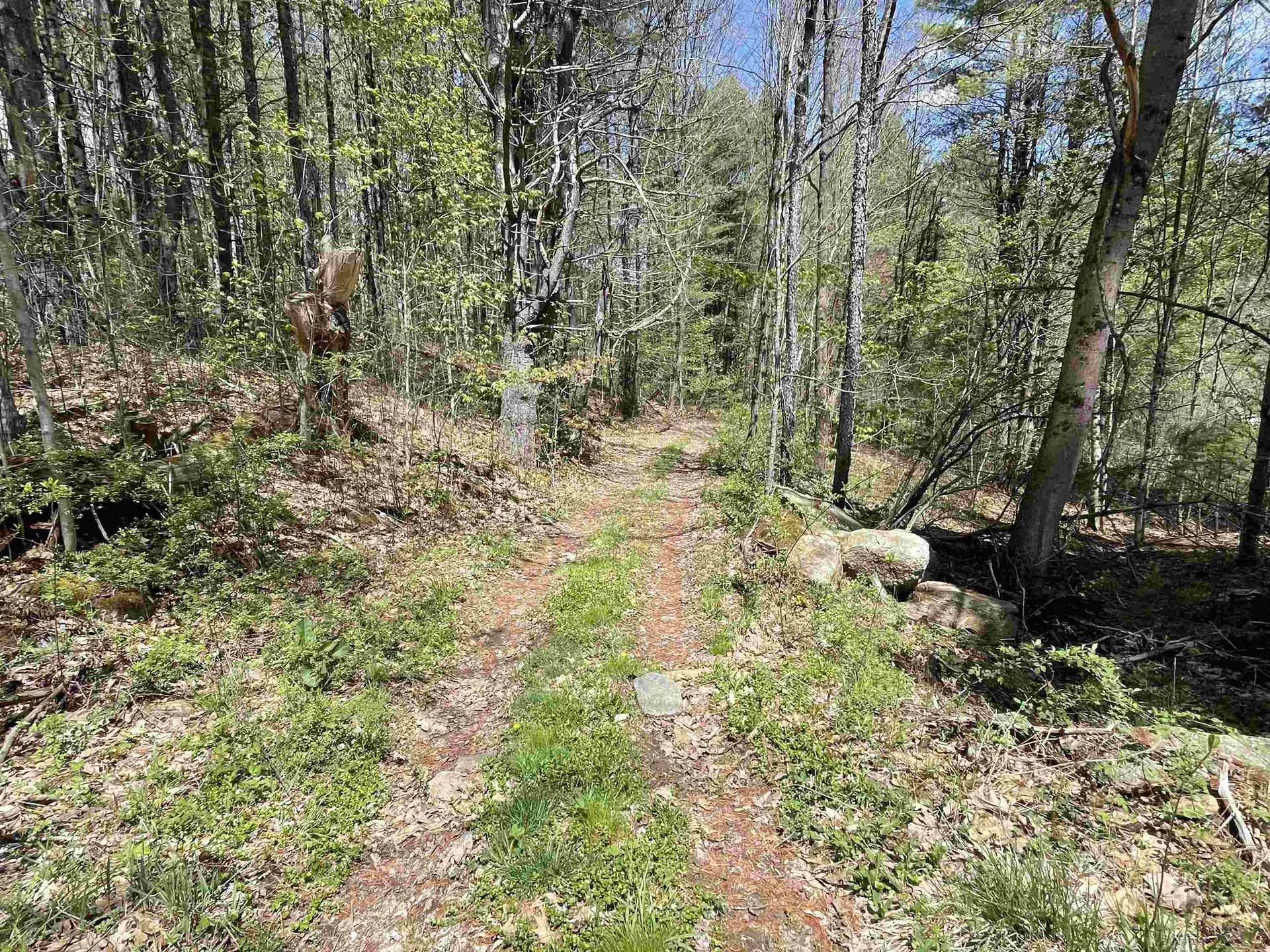 91 Vt Route 35 Athens VT 05143