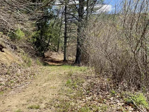 91 Vt Route 35 Athens VT 05143