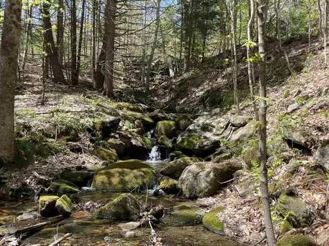 91 Vt Route 35 Athens VT 05143