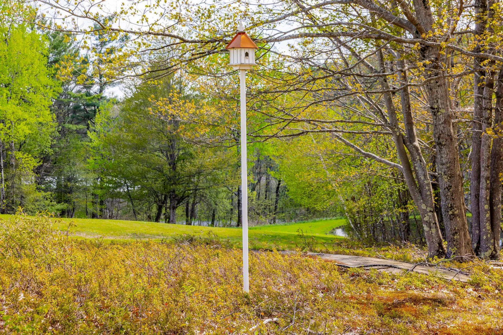 8 Laramie Road Hanover NH 03750