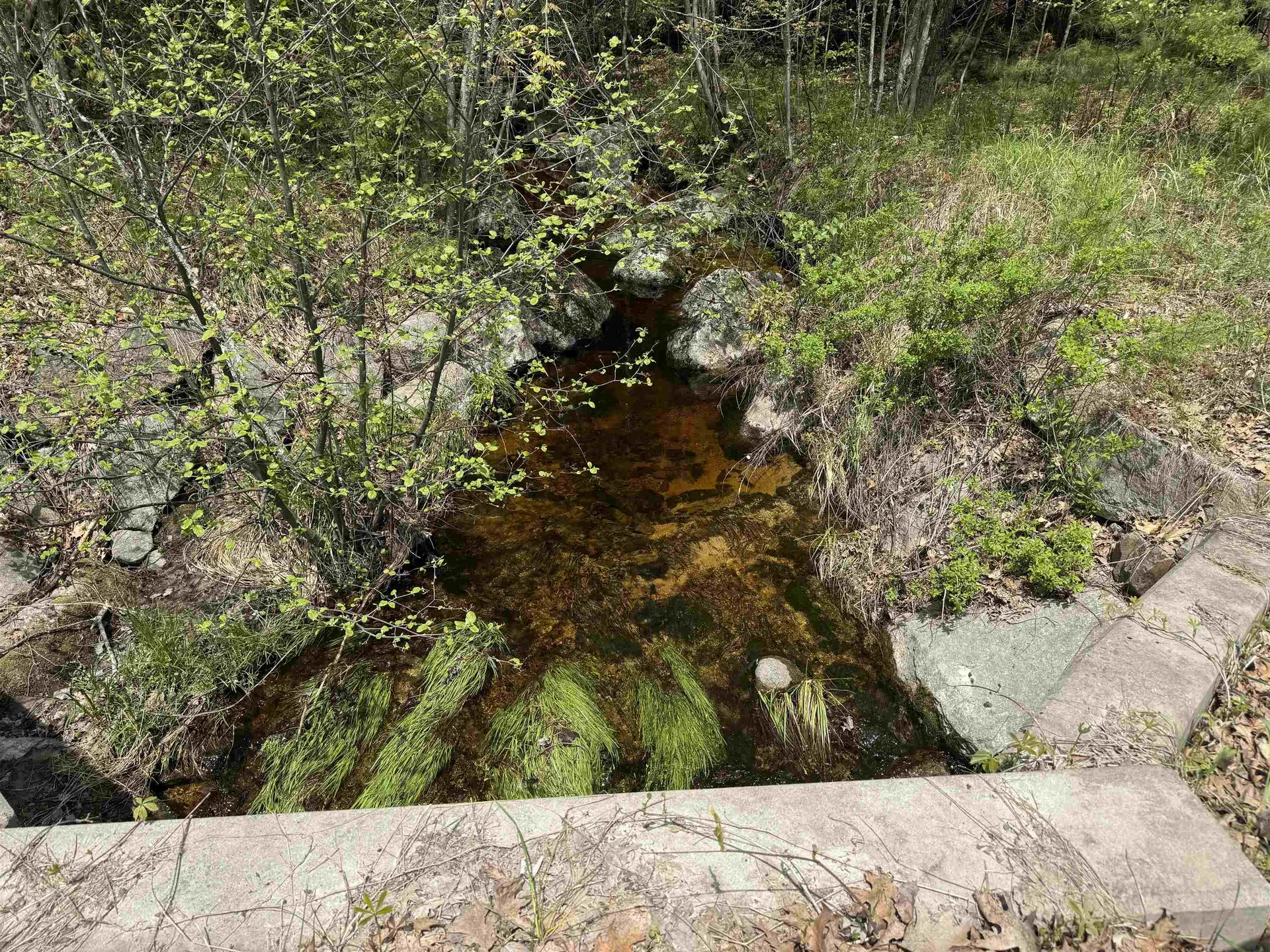 76 Sunrise Drive Moultonborough NH 03254
