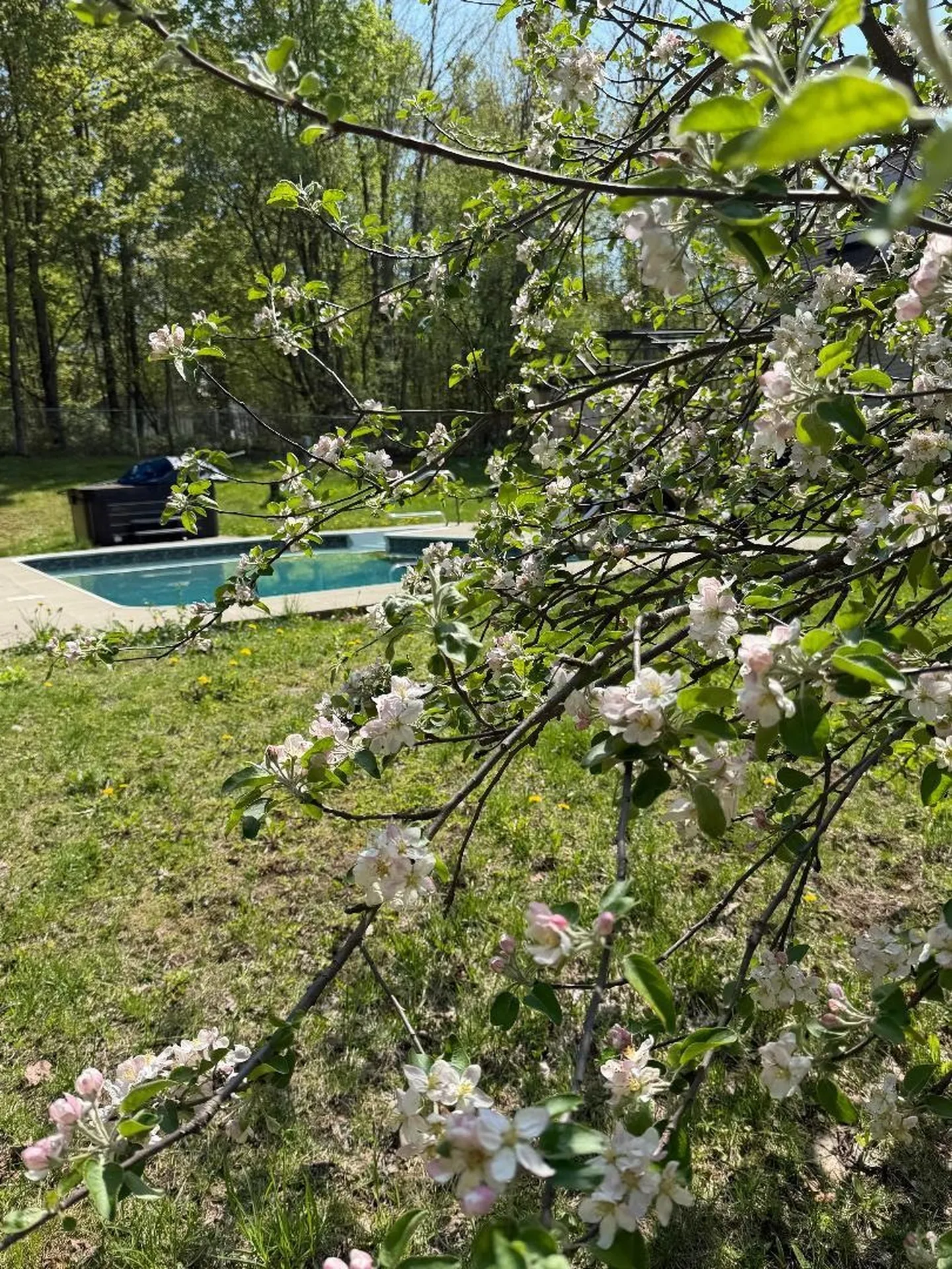 50 Gaudette Farm Road Fairfax VT 05454