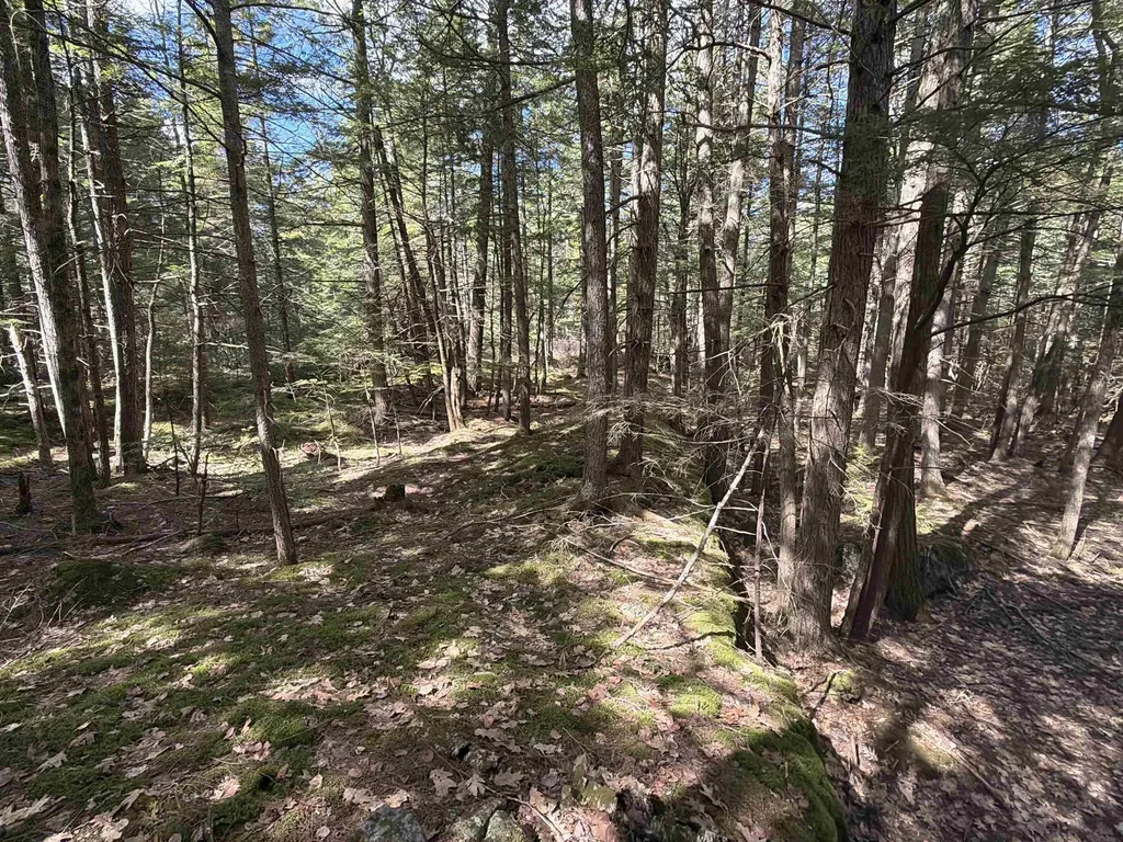 R29L9 Roxbury Meredith NH 03253