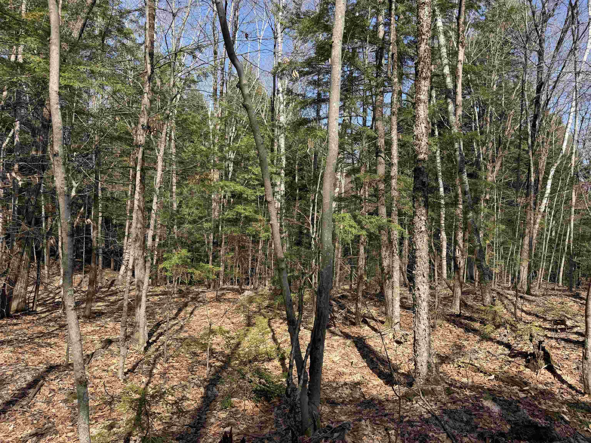 R29L9 Roxbury Meredith NH 03253