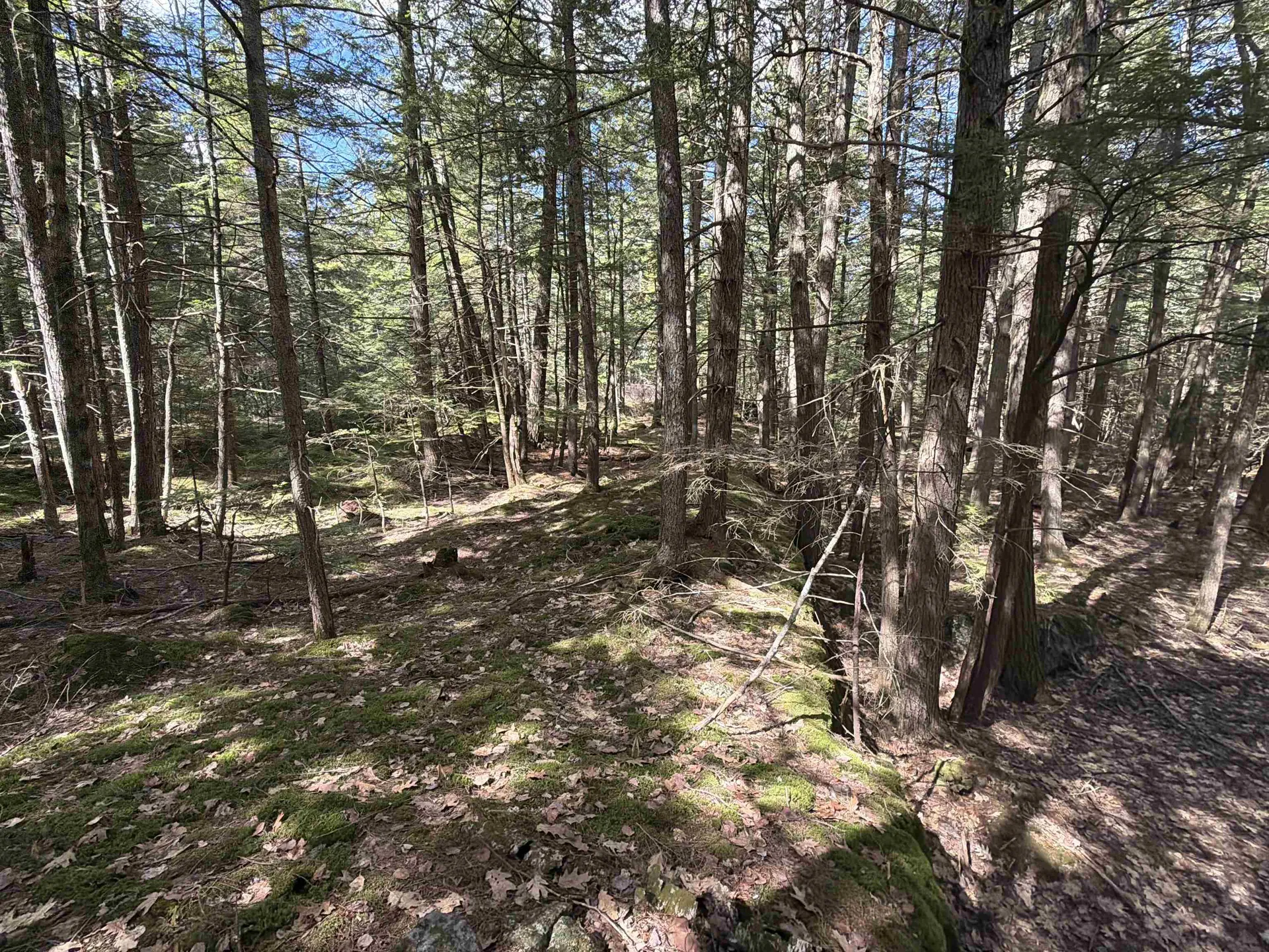 R29L9 Roxbury Meredith NH 03253