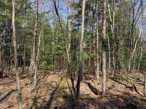 R29L9 Roxbury Meredith NH 03253