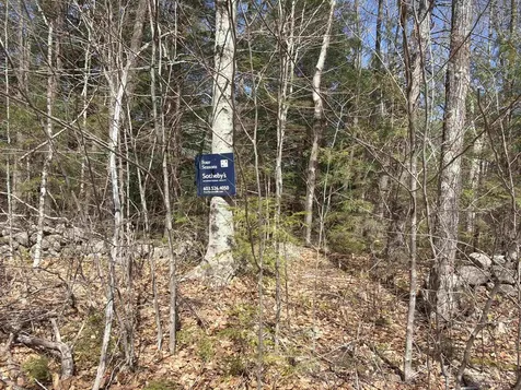 R29L9 Roxbury Meredith NH 03253
