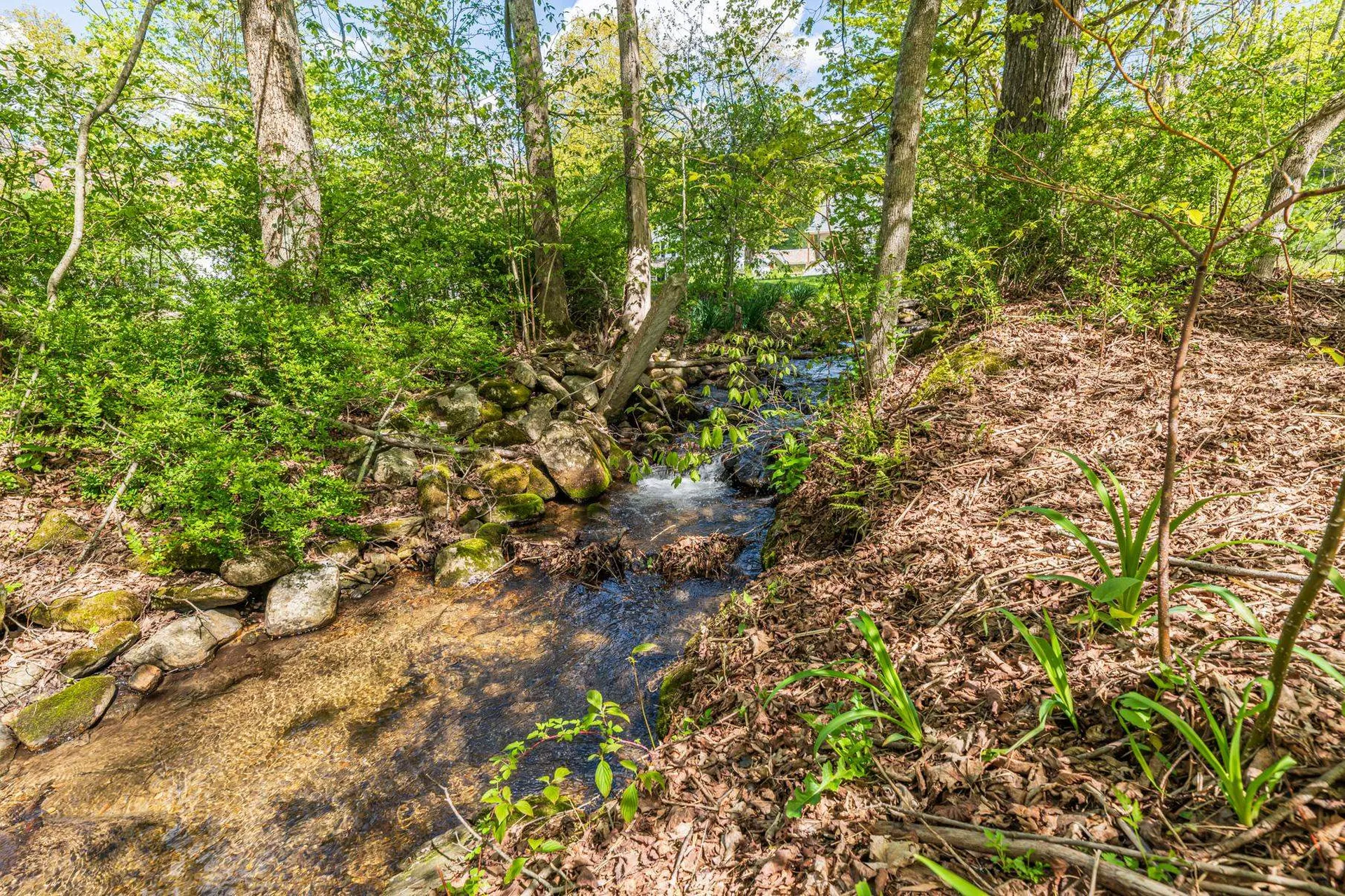 298 Mad Tom Road Dorset VT 05251