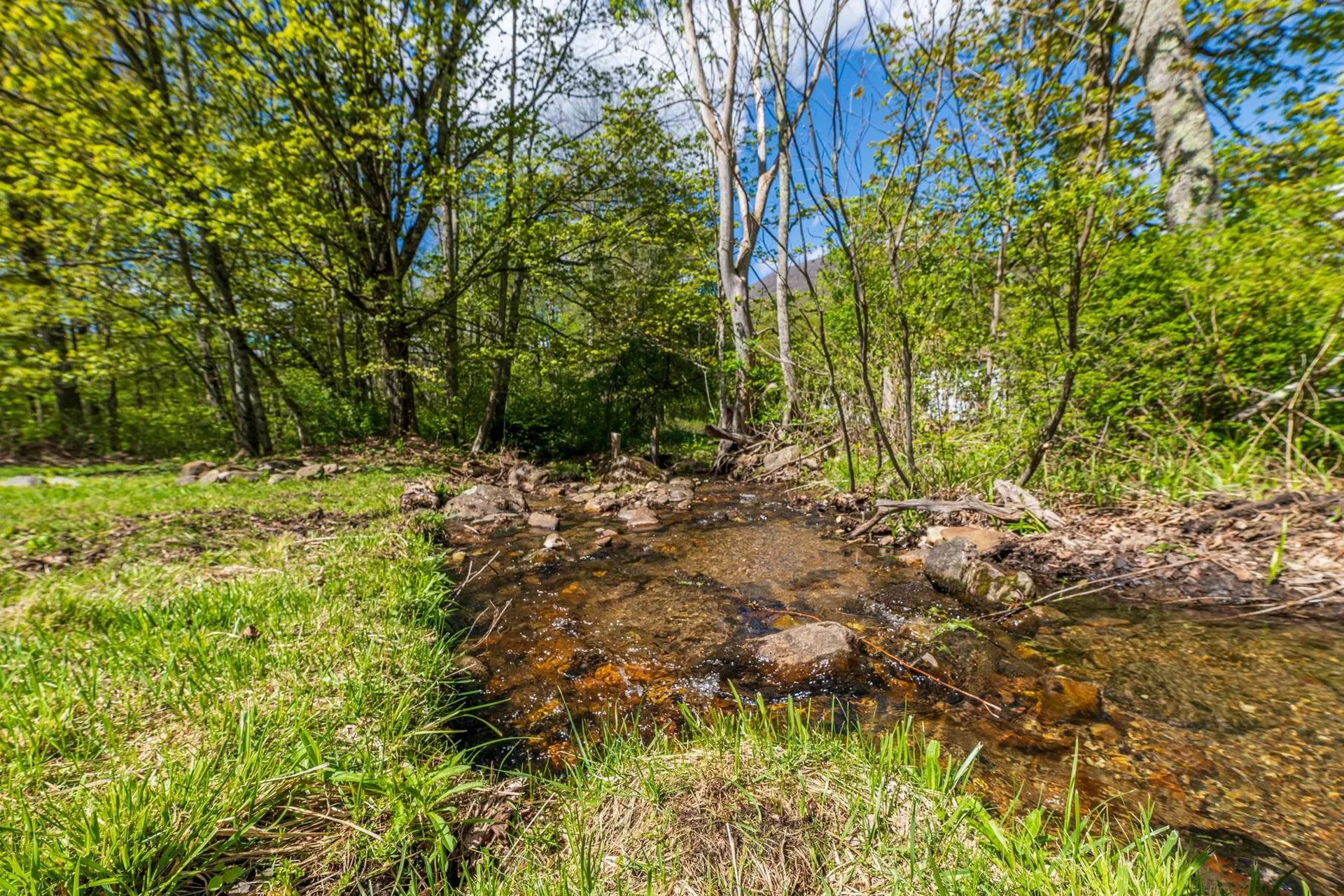 298 Mad Tom Road Dorset VT 05251