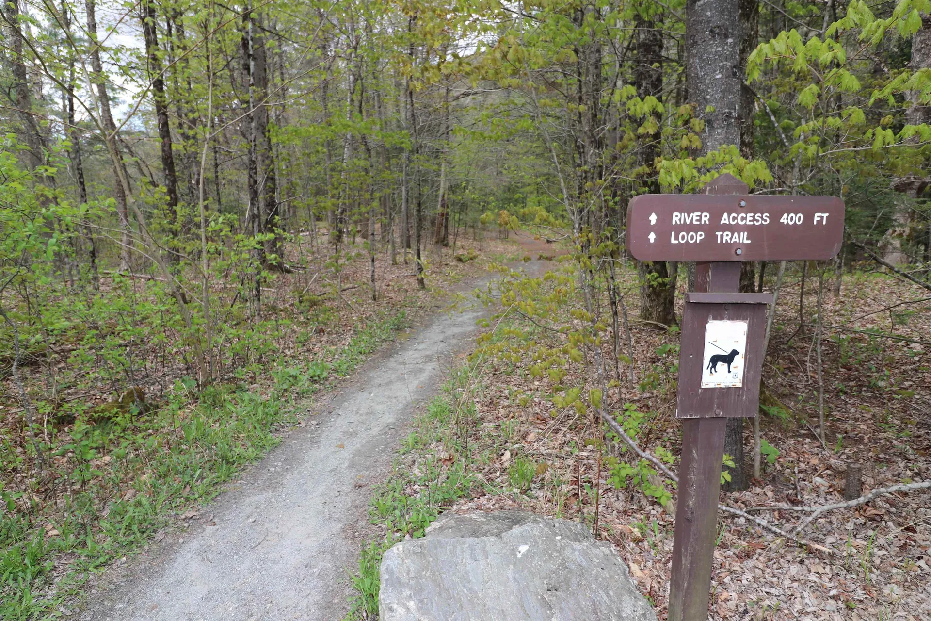 3955 Vt Route 100 Warren VT 05674