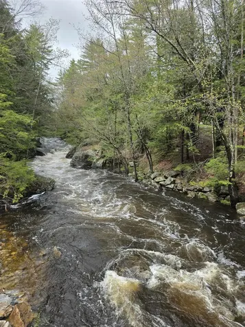196 Clothespin Bridge Road Webster NH 03303