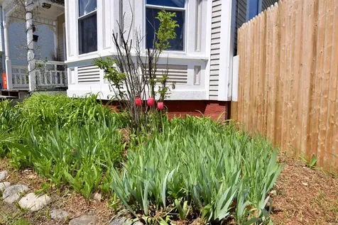 33 Court Street Newport NH 03773