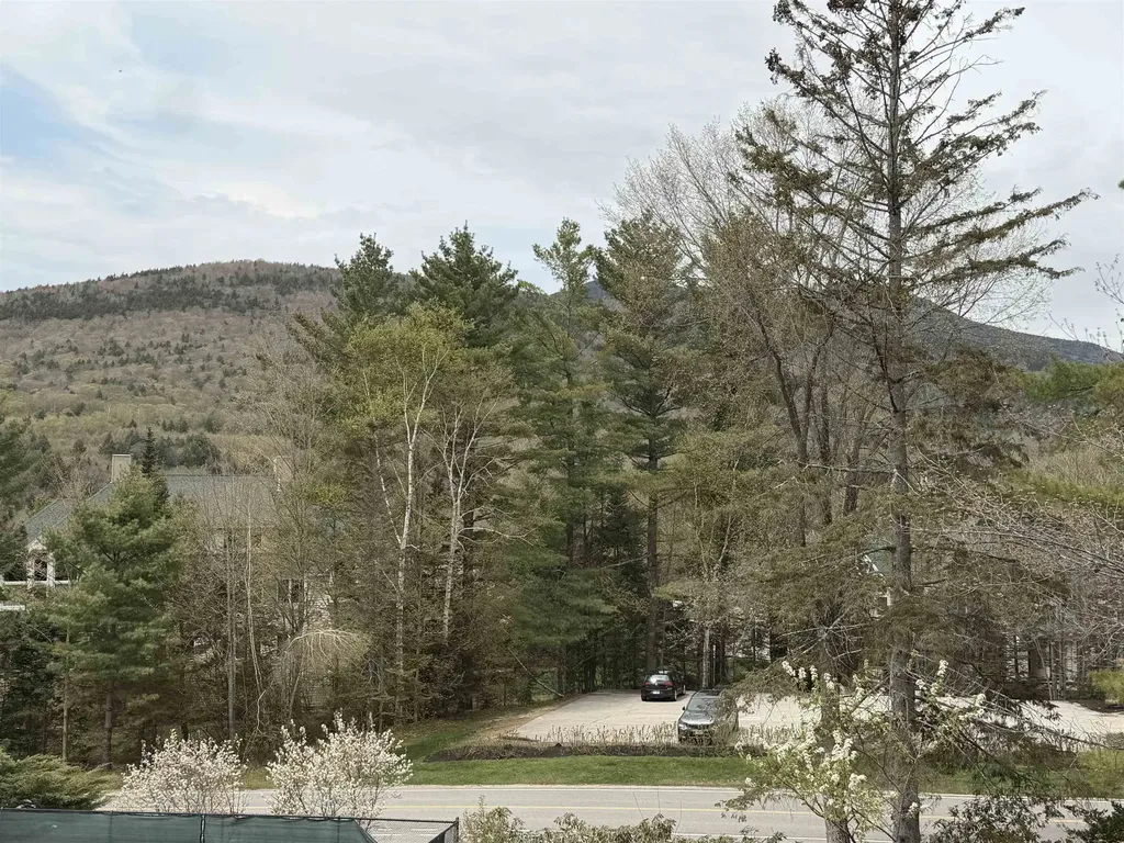 3 Windsor Hill Way Waterville Valley NH 03215