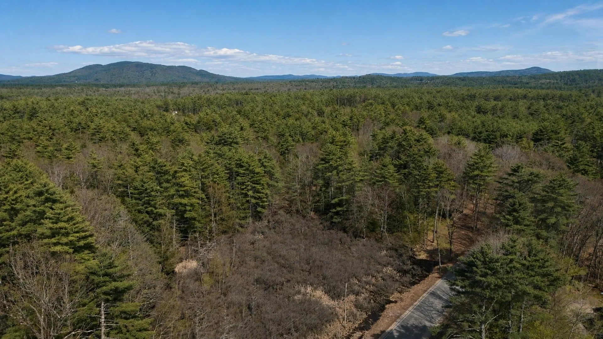 Lot 27.1 Dorrs Corner Road Ossipee NH 03814