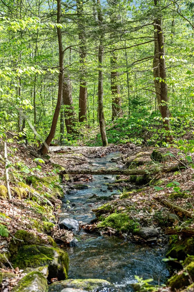 0 Sharpshooter Road Fayston VT 05673
