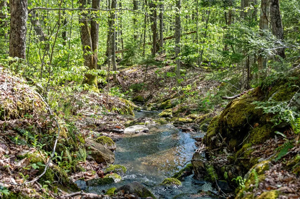 0 Sharpshooter Road Fayston VT 05673