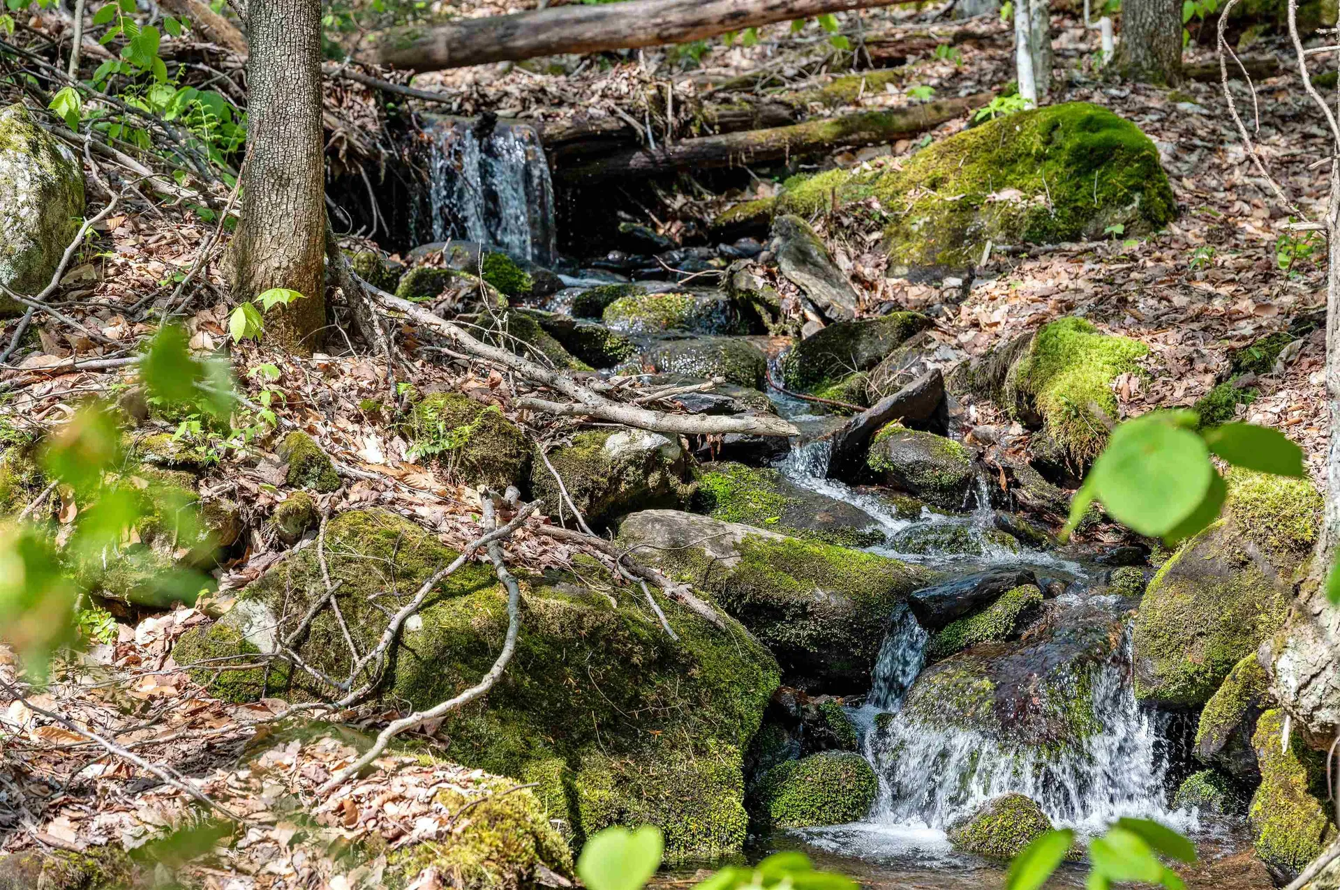 0 Sharpshooter Road Fayston VT 05673