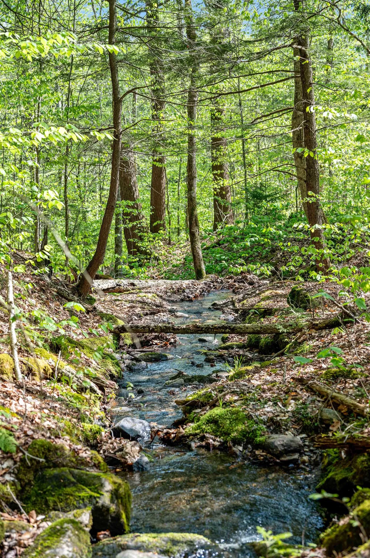 0 Sharpshooter Road Fayston VT 05673